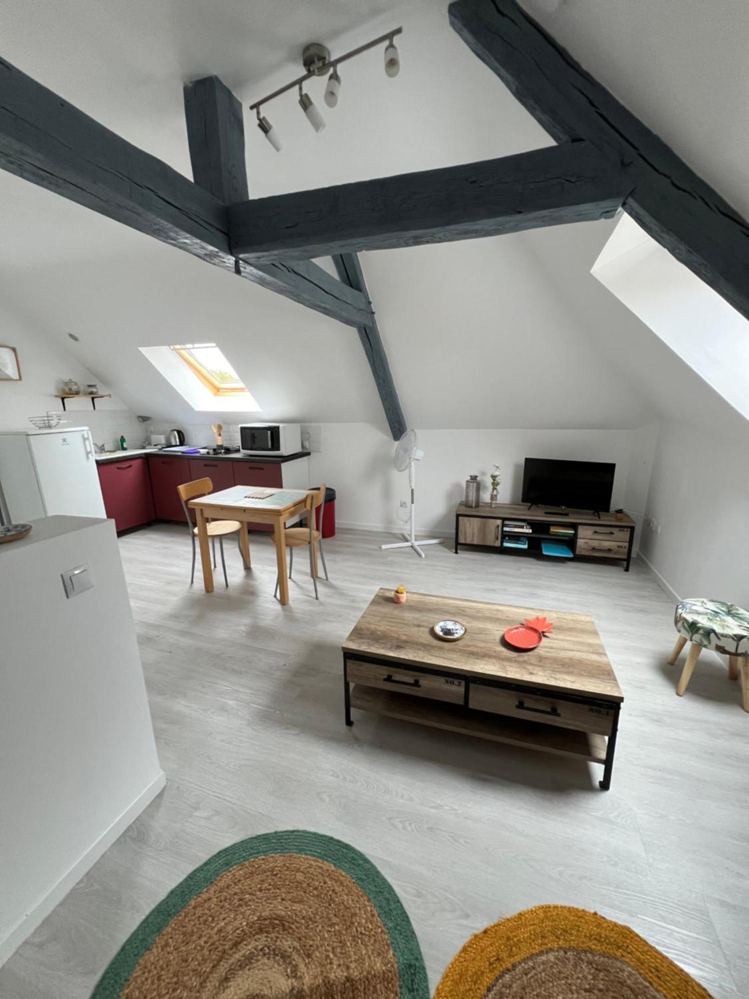Appartement Avec Cours Saint-Brisson-sur-Loire المظهر الخارجي الصورة